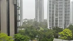 Leedon Green (D10), Condominium #566757091